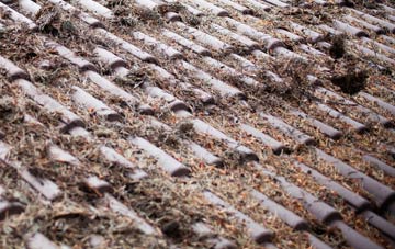 Pooltown roof cleaning companies